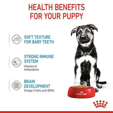 Royal Canin Maxi Puppy – Hrană Umedă în Sos pentru Pui de Câine de Talie Mare, 140 g